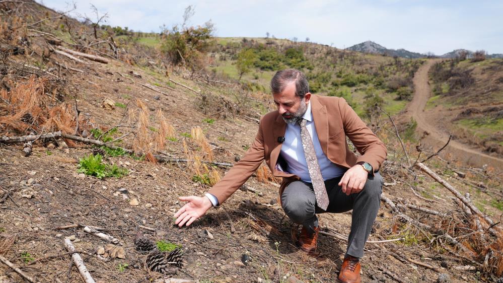 Gürsu’da geçtiğimiz yaz yaşanan