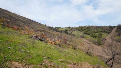 Gürsu’da geçtiğimiz yaz yaşanan büyük