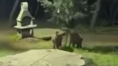 Bursa'da akşam saatlerinde Bursa Kent