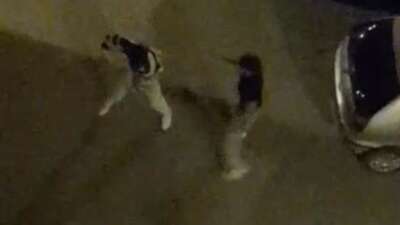 Bursa’da yabancı uyruklu iki şahsın