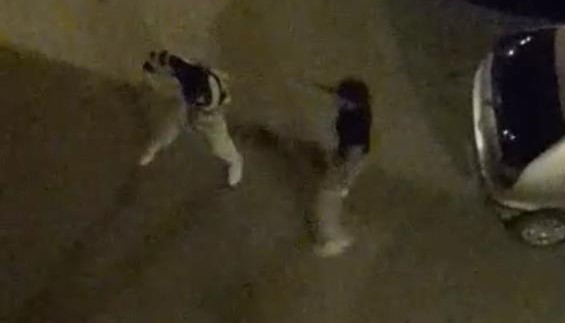 Bursa’da yabancı uyruklu iki