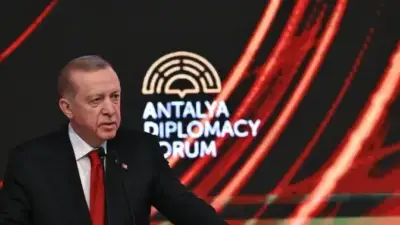 Recep Tayyip Erdoğan’ın himayelerinde ve