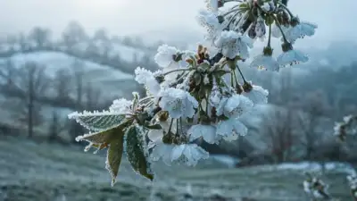 Meteoroloji Genel Müdürlüğü, aralarında Bursa’nın