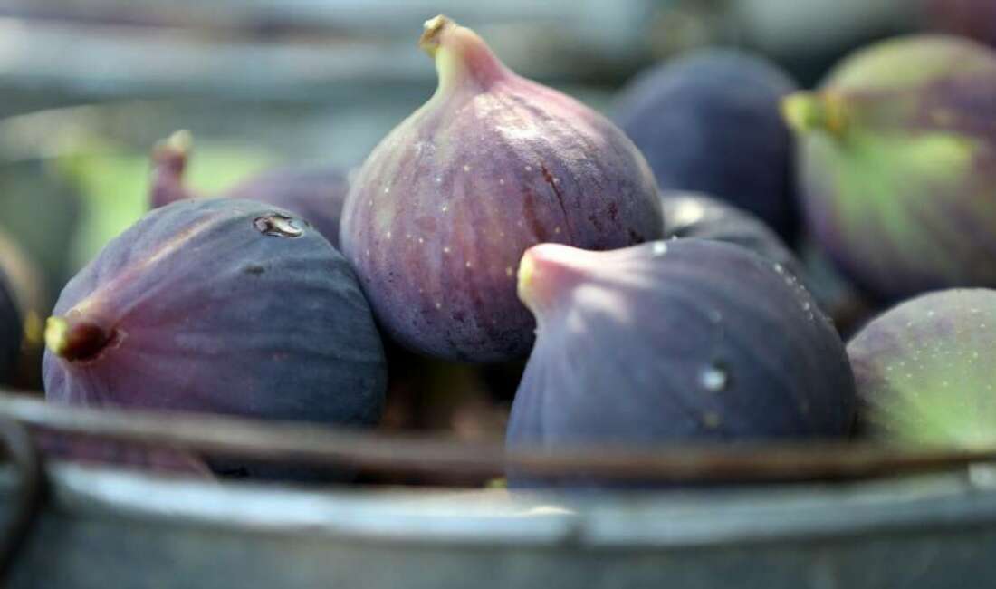 Bursa’nın dünyaca ünlü coğrafi