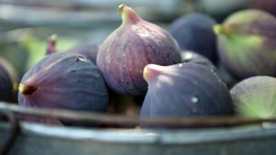 Bursa’nın dünyaca ünlü coğrafi işaretli