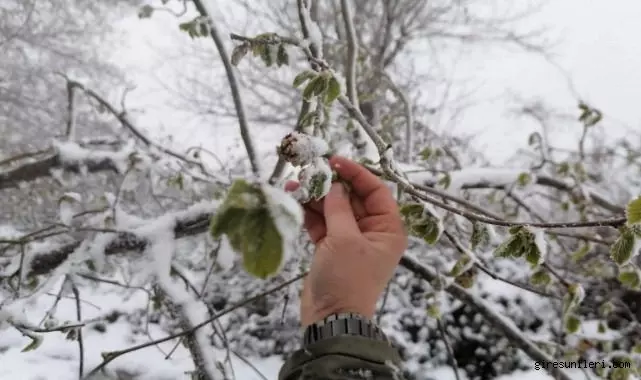 Meteoroloji, Bursa genelinde zirai