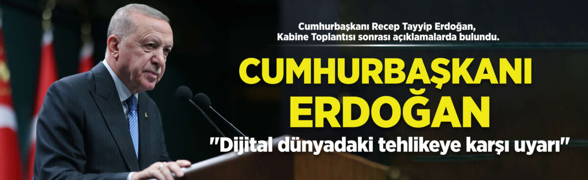 Cumhurbaşkanı Recep Tayyip Erdoğan, Kabine