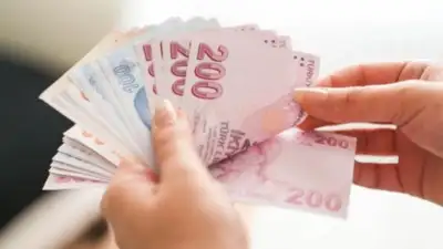 Sosyal güvenlik sistemi 2008 yılında