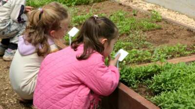 Osmangazi Belediyesi, çocukların toprakla tanışması