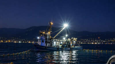 Gemlik Körfezi içerisinde ve özellikle