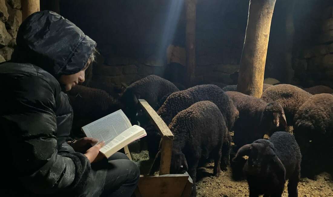 Ağrı’nın Patnos ilçesinde yaşayan