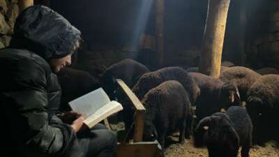 Ağrı’nın Patnos ilçesinde yaşayan Menekşe