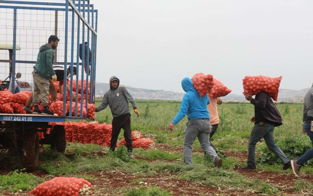 Reyhanlı ilçesinde Suriye sınırına