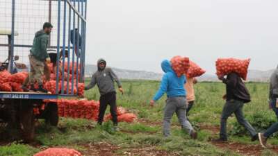 Reyhanlı ilçesinde Suriye sınırına sıfır