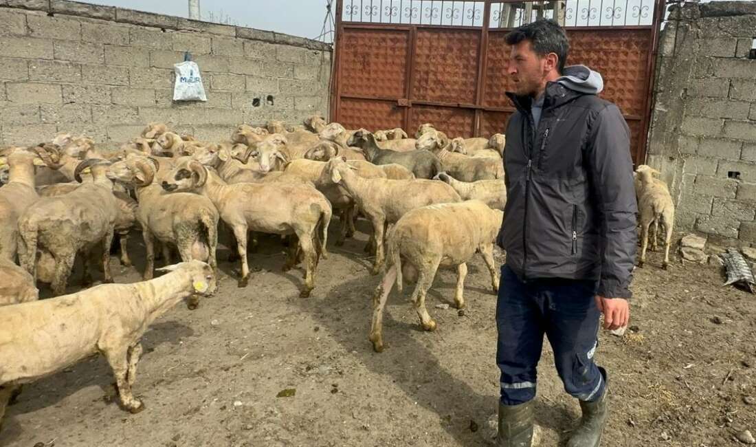 Bursa'nın Mustafakemalpaşa ilçesine bağlı