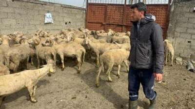 Bursa'nın Mustafakemalpaşa ilçesine bağlı kırsal