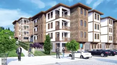 Cumhurbaşkanı Recep Tayyip Erdoğan, Türkiye’de