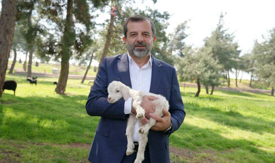 Gürsu Belediyesi’nin, 80 dönümlük