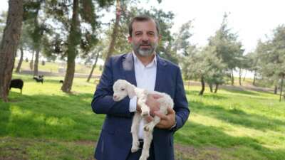 Gürsu Belediyesi’nin, 80 dönümlük mesire