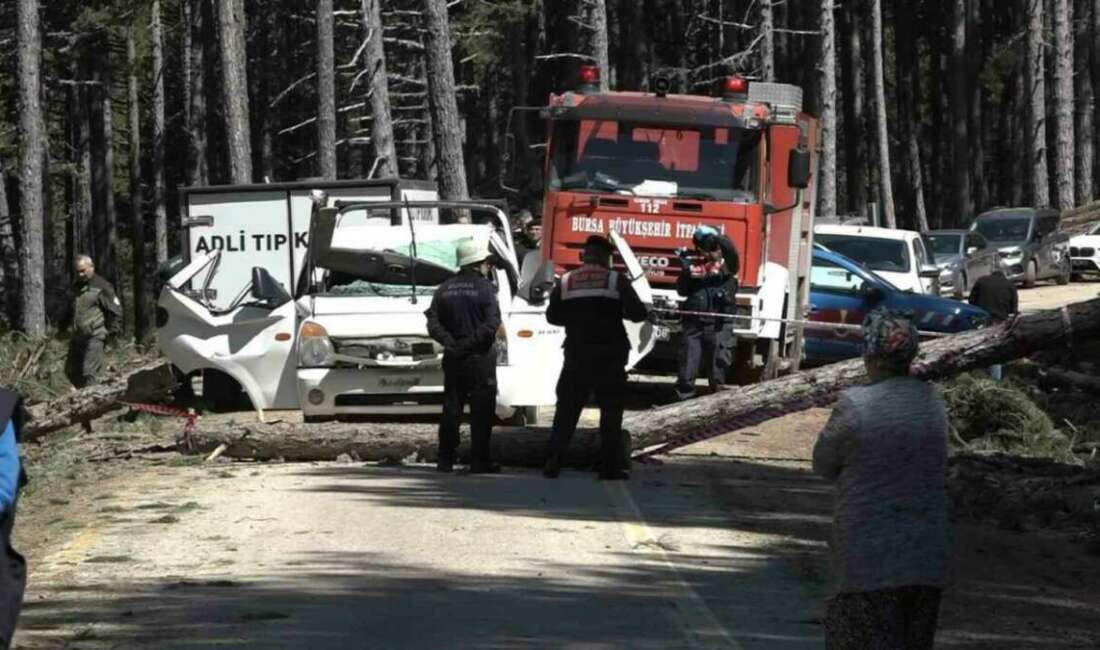 Bursa Uludağ’da şok edici olay!