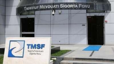 Tasarruf Mevduatı Sigorta Fonu (TMSF),
