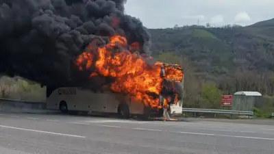 Bursa-Yalova karayolunda seyir halindeki yolcu