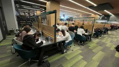 Spordan sanata, eğitimden istihdama kadar