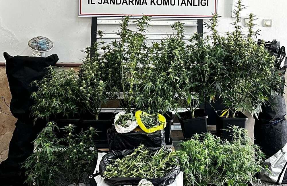 Bursa'da jandarma ekiplerince şüphelinin