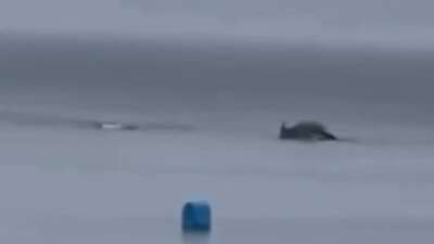 Bursa'nın Mudanya ilçesinde yağmurlu havada
