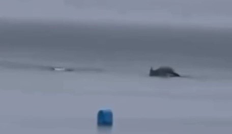 Bursa'nın Mudanya ilçesinde yağmurlu