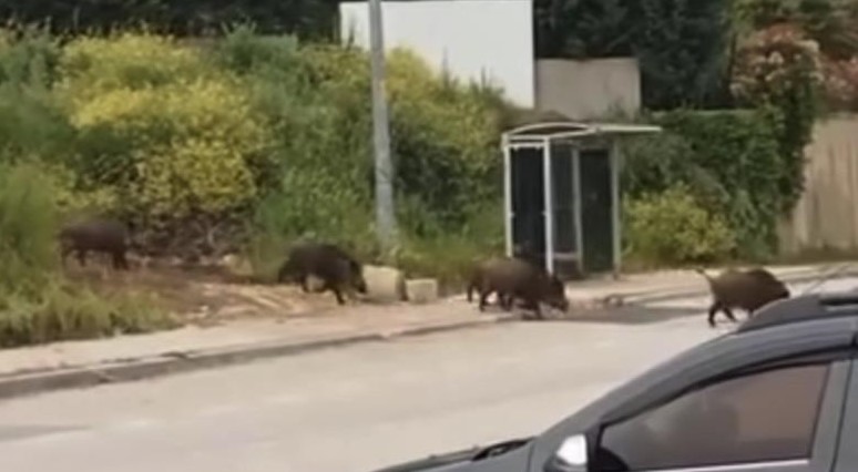 Bursa'da aç kalan