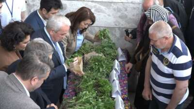 Nilüfer Belediyesi ve Nilüfer Tarımsal