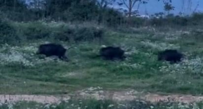 Bursa’nın Orhangazi ilçesinde şehir