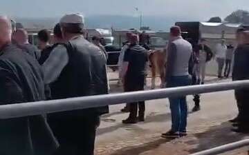 Bursa'da kurbanlık hayvan pazarında çıkan