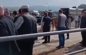 Bursa'da kurbanlık hayvan pazarında