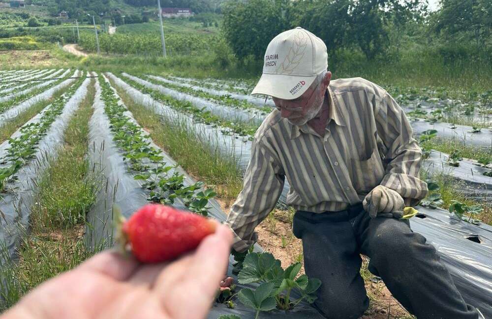 Bursa'da çocukluğundan bu yana