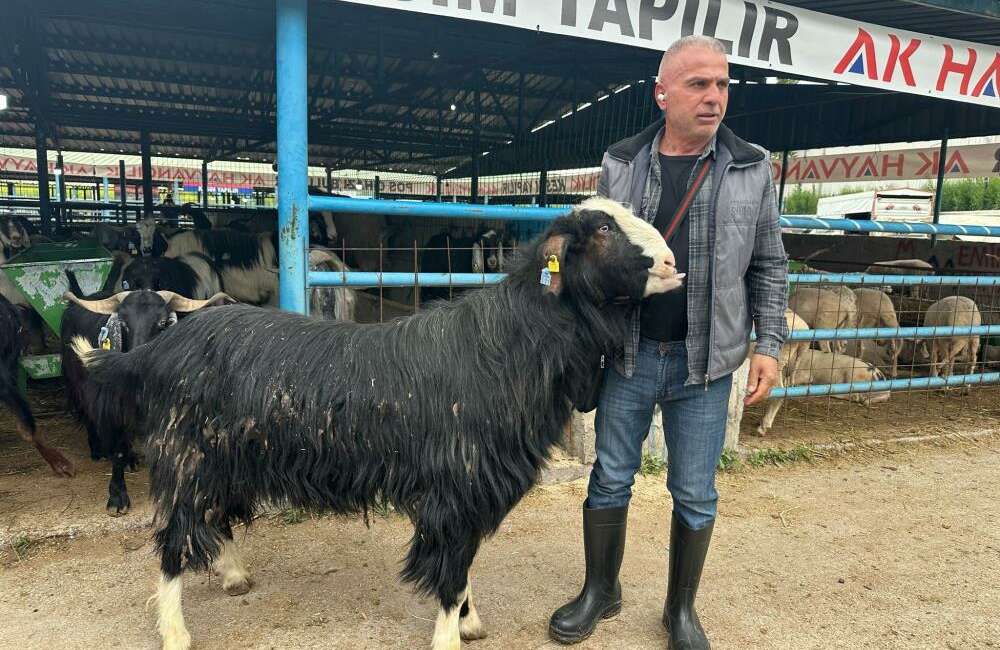 Kurban Bayramı arifesinde