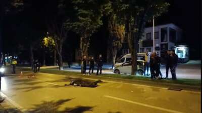 Bursa’da dün gece motosiklet kazasında