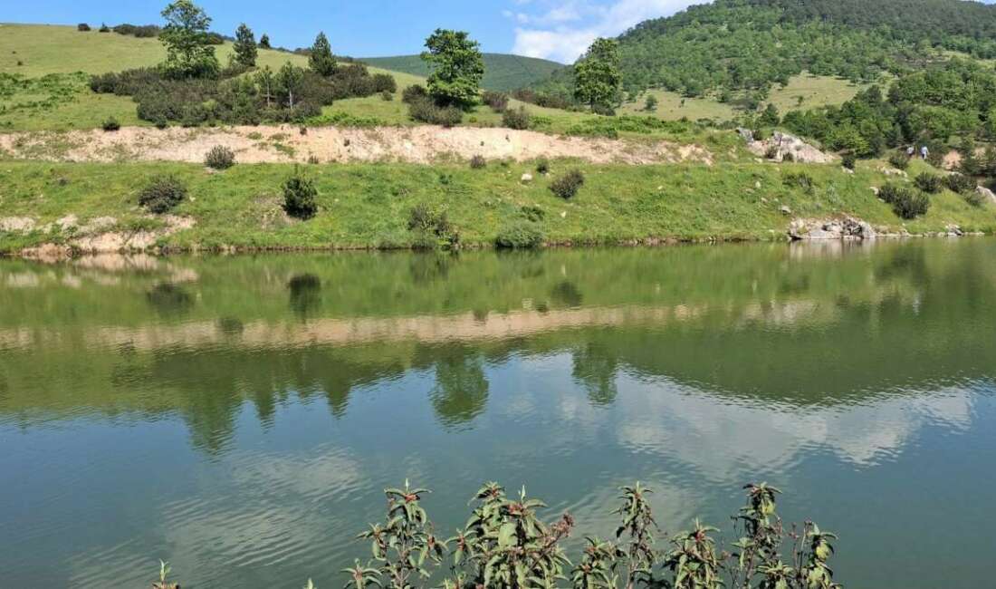 Arkadaşlarıyla girdiği gölette hayatını kaybetti Bursa’da serinlemek için arkadaşlarıyla