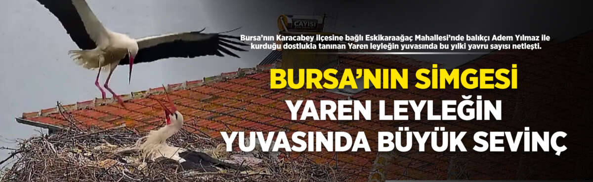 Bursa'nın Karacabey ilçesine bağlı Eskikaraağaç