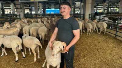 Bursa’da Kurban Bayramı öncesi kurulan