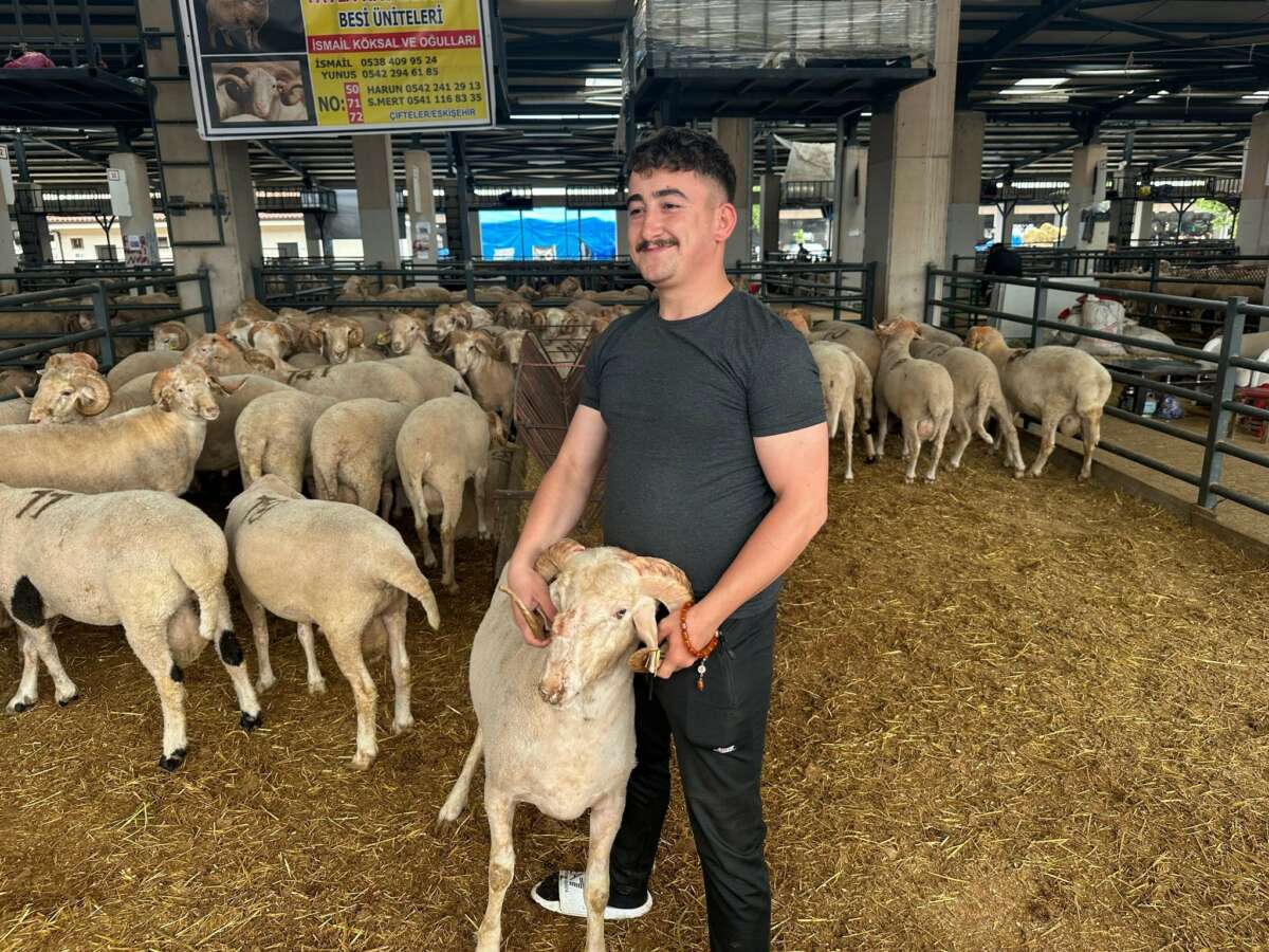 Bursa’da “Gergedan Boynuzlu” Koç ilgi odağı oldu
