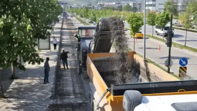 Bursa Büyükşehir Belediyesi, kent trafiğinin