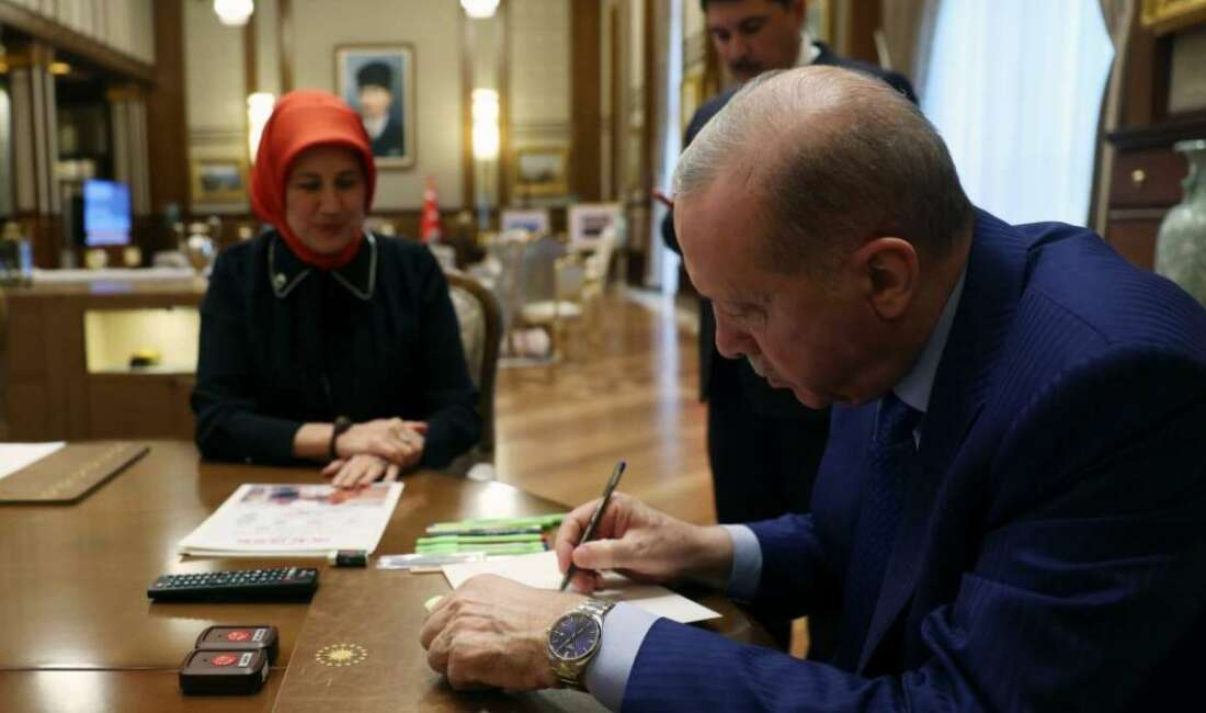 Recep Tayyip Erdoğan, Türk