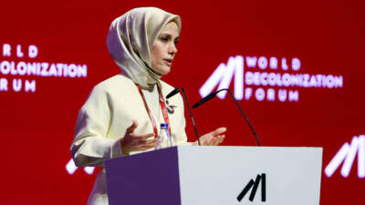 Esra Albayrak, NUN Eğitim ve