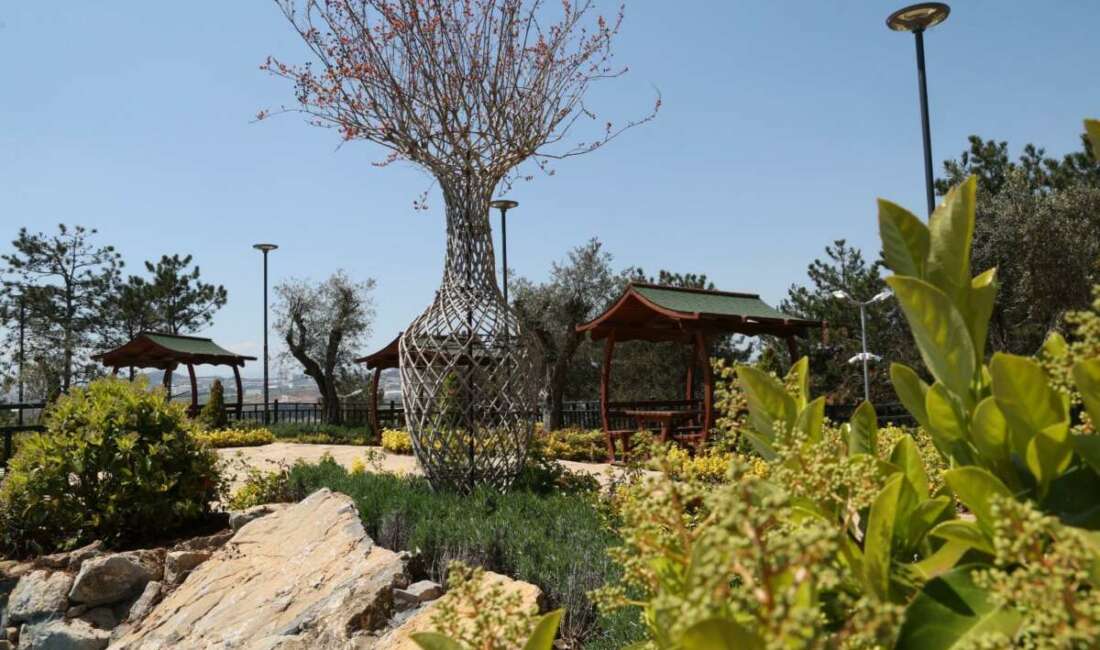 Gebze’nin zirvesinde dev yaşam alanı açıldı Bayraktepe, doğası, şelalesi ve