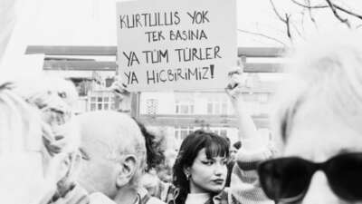 İzmir’in Buca ilçesinde 33 kedinin