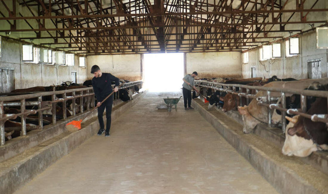  Kurban bayramı öncesi Muş’ta