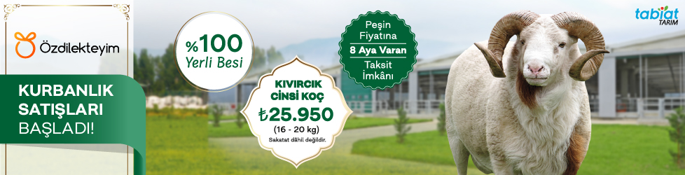 Özdilek Kurban Satış