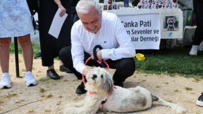 Nilüfer Belediyesi, YASAV ve PodyumPark
